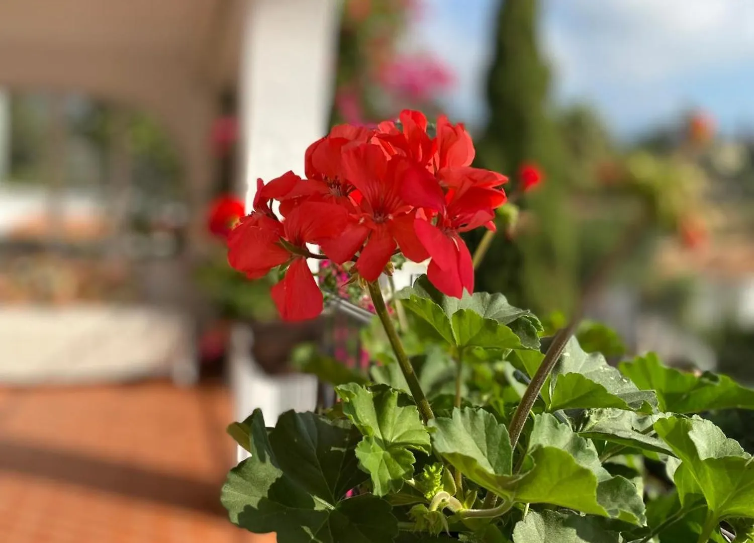 Apartamento Casa Zawadi Mijas